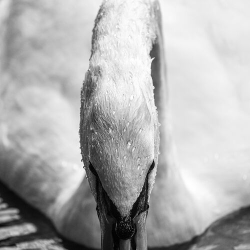 _Y6A1240_1920.jpg