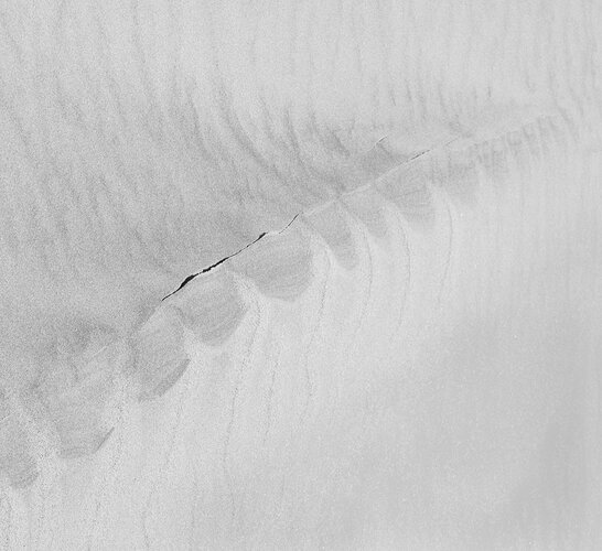 PGreenwoodA tear in the sands of time