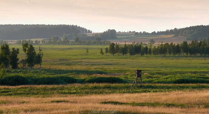 DSC_1879_HDR