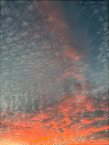 Original - Simmering-5309IP16ProMax-26.jpg
