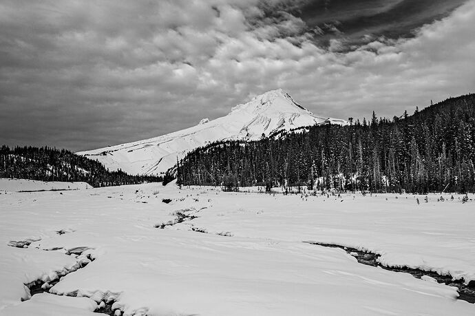 IMG5DMarkIV_0125NPNWebLrg-8