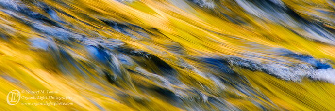 Strokes Of Gold
