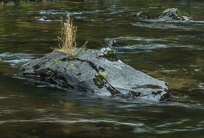 N-D7100-0882-npn.jpg