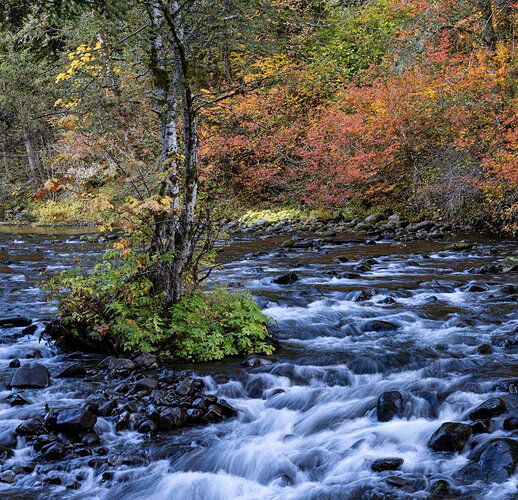 Salmon-River-21-3534a