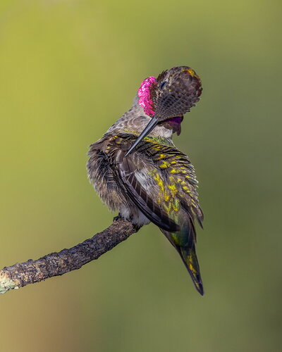 _49A5298-Edit.jpg