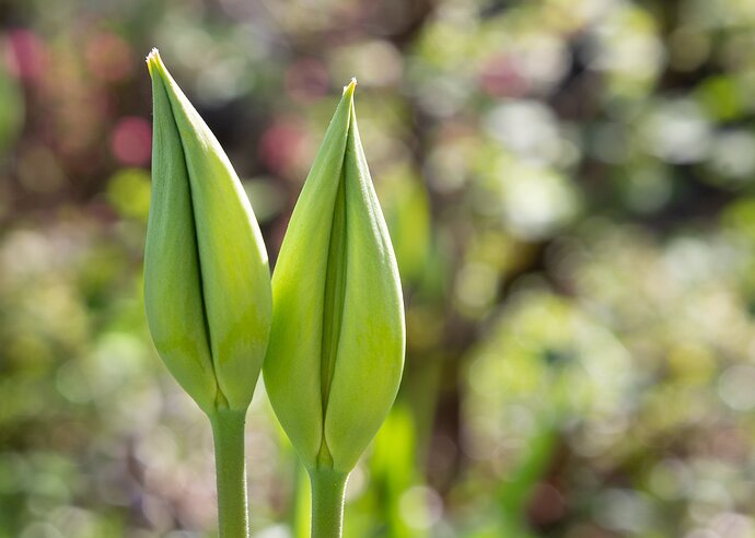 IMG5DIIIPost10k_3229NPNWebLrg-2