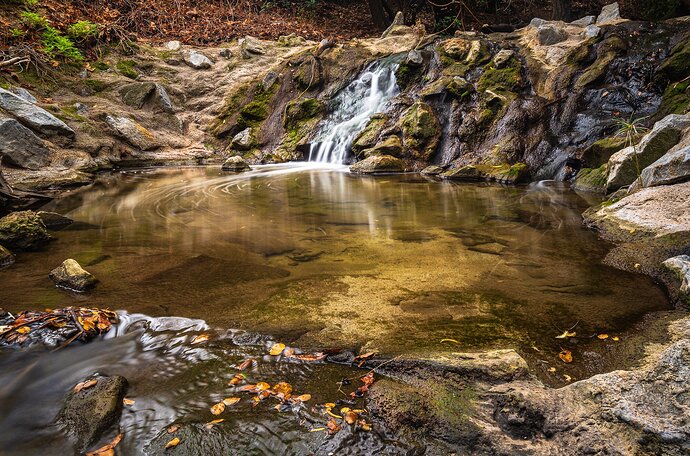 Urban Jungle Waterfall