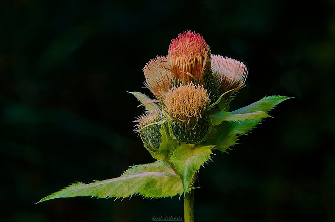 v2 2026-08-03 12-04-18 (B,R8,S4) 5