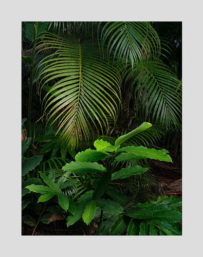 _DSF0378_psd4_1500px