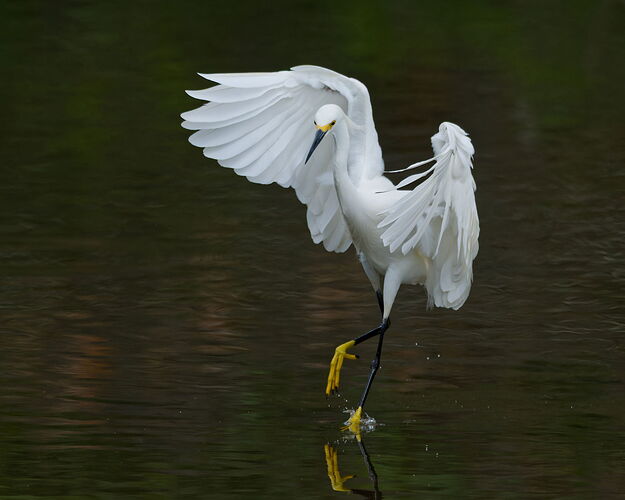 DSC_4203_DxO.jpg