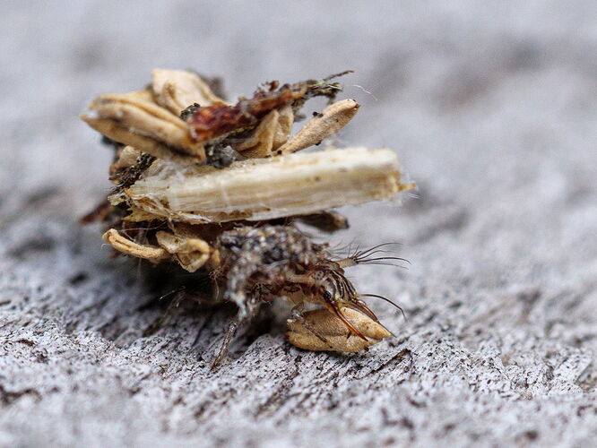 Kristen_SmithJune 02, 2021P1058443.jpg