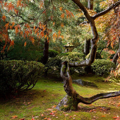 IMG5DIIIPost10k_3999NPNWebLrg-NPNWebLrg 4.9mb-3