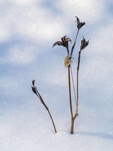 Kristen_SmithFebruary 04, 2026_1013149.jpg