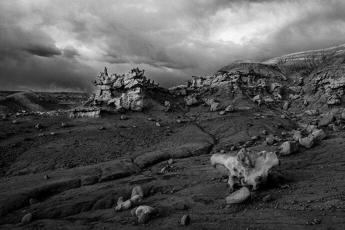 IMG_9726 B&W-Edit-Edit-Edit