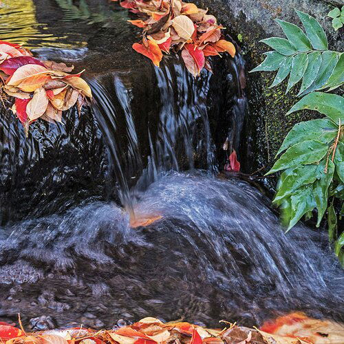Autumn-Stream-in-Tokyo-for-Lon