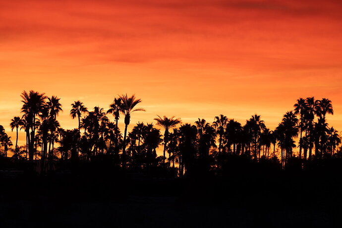 Palm Springs Sunrise