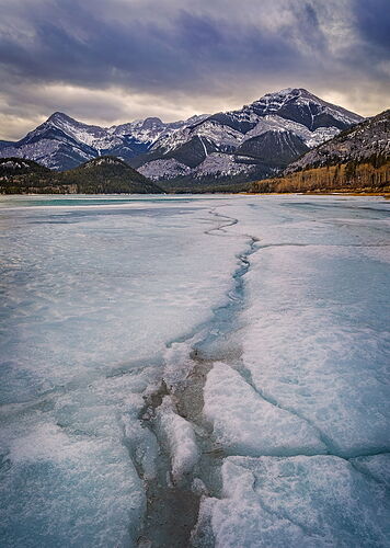 TN2022-_MG_1239-Edit- NPN copy.jpg
