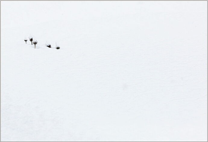 -20190211-5DIM7178-untitled-DxO_DeepPRIME 3-Edit.jpg