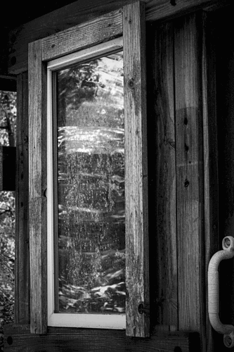 Original - Tiny Window Tree House 2026.png