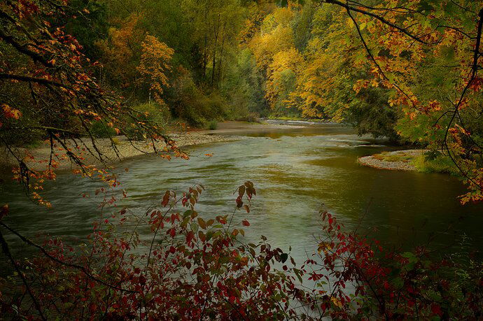 Green River WA