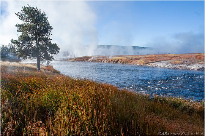 Original - Misty-Morning7324-HDR-A700-26.jpg