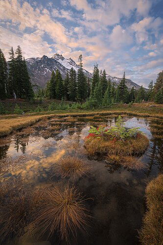 20231021 Mountain Tarn.jpg