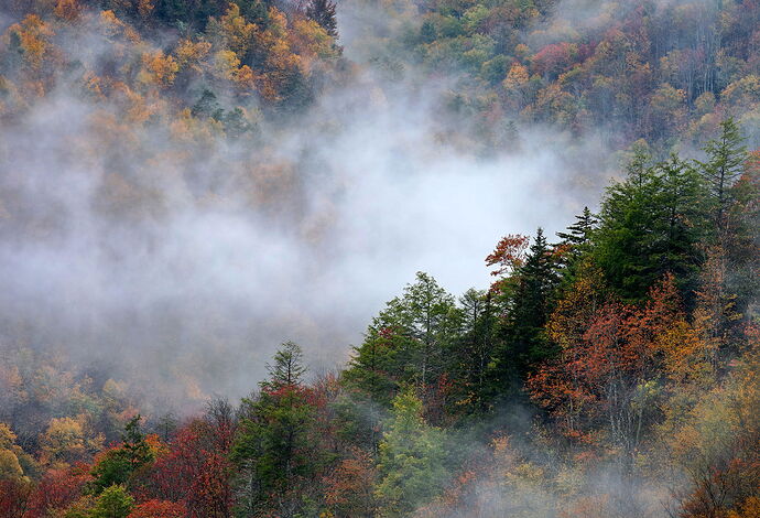 _DSC5825-topaz-denoiseraw-sharpen copy 2