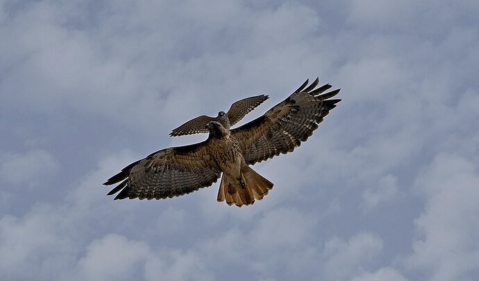Original - DSC_0200_01.jpg