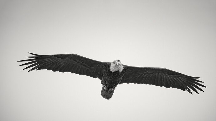 david20230614_105803_DB12547 copy