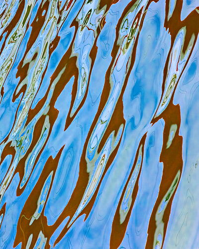 What Do You See #7.jpg