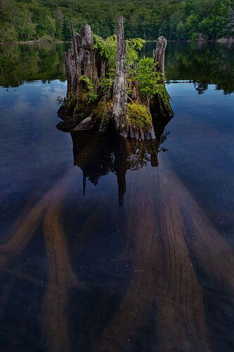 Past-Present-Future-(Big-Hawk-Lake)-0748