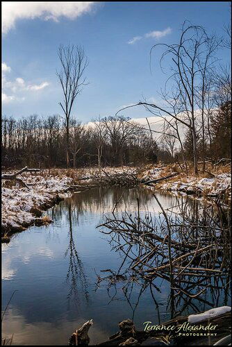 January at Watkins Lake State Park