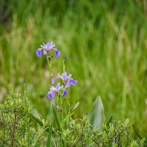 Kristen_SmithJune 17, 2025_1010984.jpg