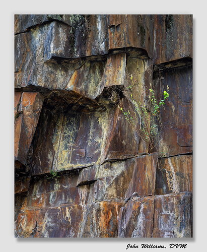 Lon's Wall