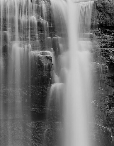 DSC3954 copy B&W