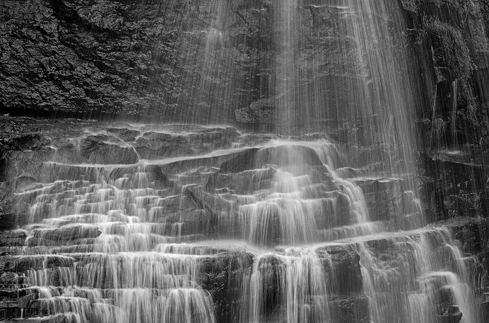 _DSC5745 copy.jpg