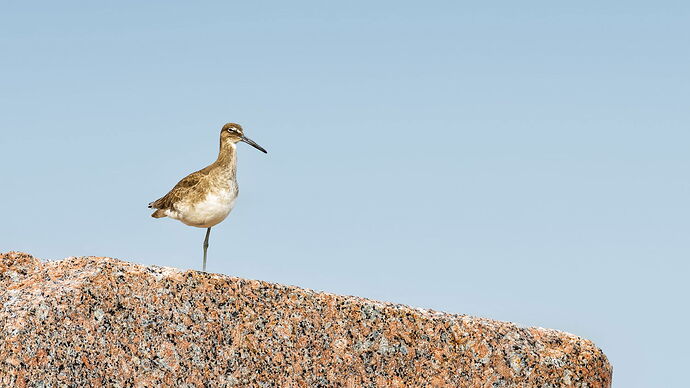 20141226-Achieving Balance-2
