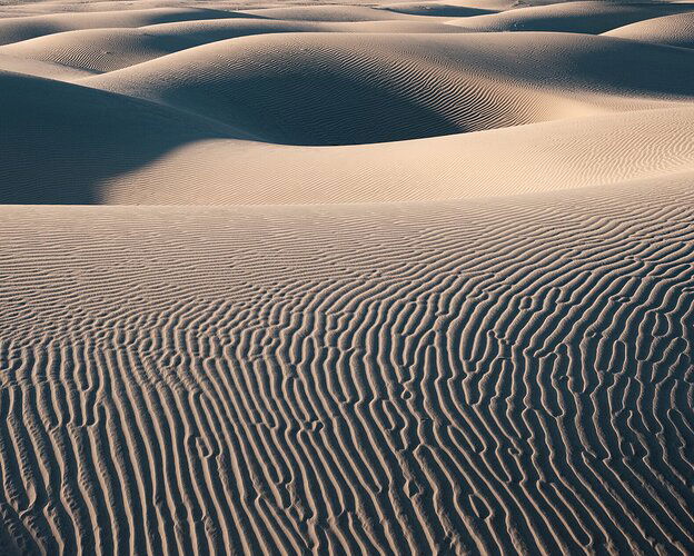 Small Dunes at Sunrise