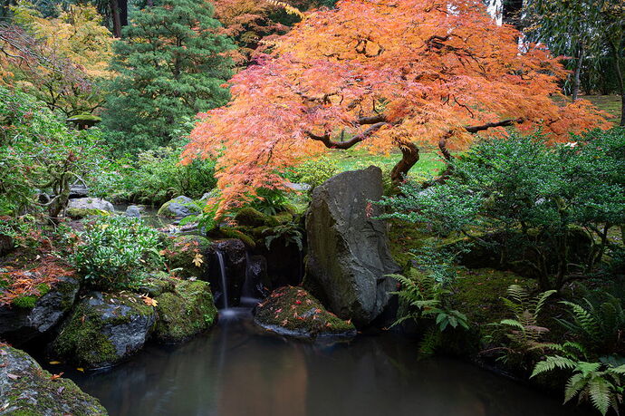 IMG5DIIIPost10k_4041NPNWebLrg-NPNWebLrg 4.9mb-4.jpg