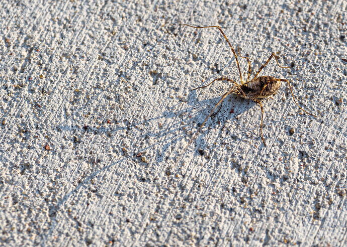 Kristen_SmithNovember 03, 2023_1175155.jpg