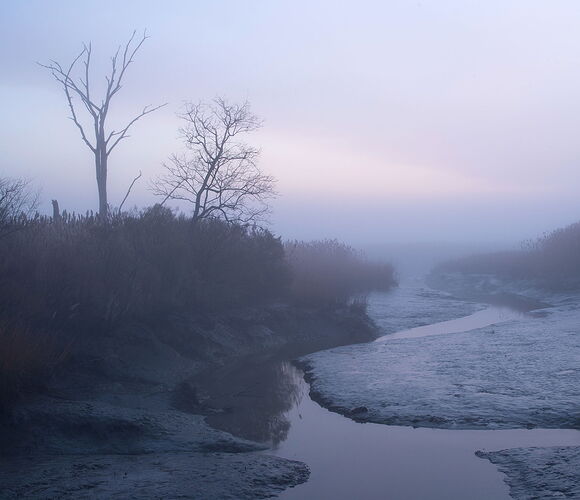 _DSC8114 copy.jpg