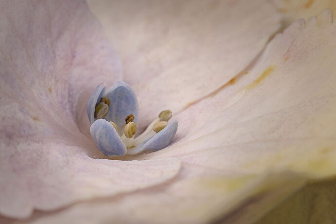 2025-07-12-15.40.31 ZS PMax-Edit.jpg