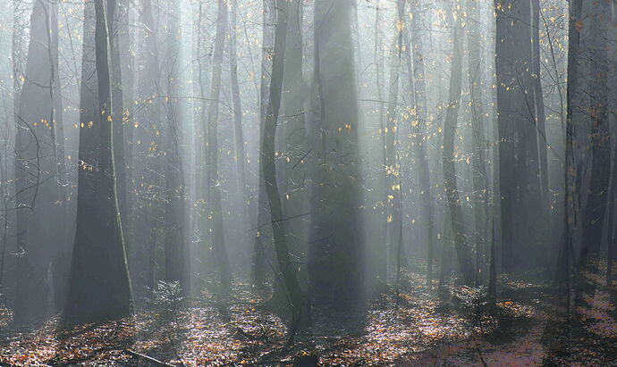 Kathrin's image-