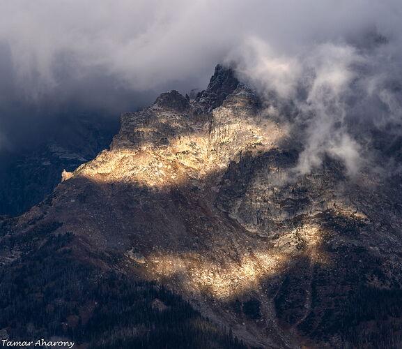 Bursts of light teton