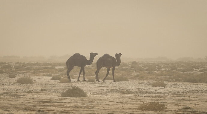 Wind & Sand4