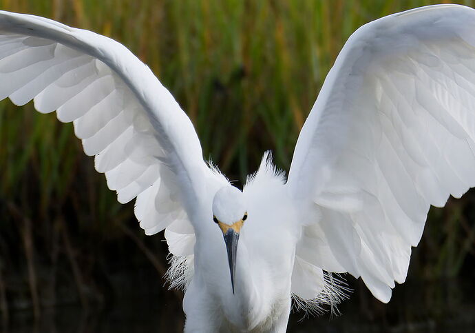 Peter-DSC_0593 2_1_DxO copy