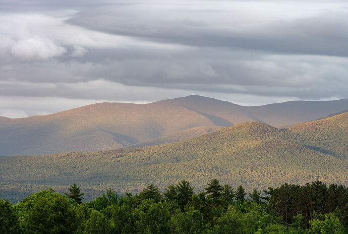_DSC4303 copy.jpg