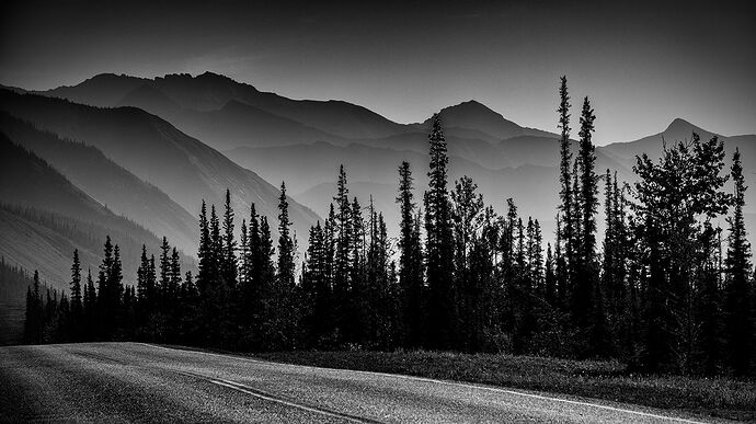 25.5-Natalya Gunde-Catching the Light.jpg