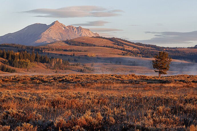 Electric Peak & Fall Colors.jpg