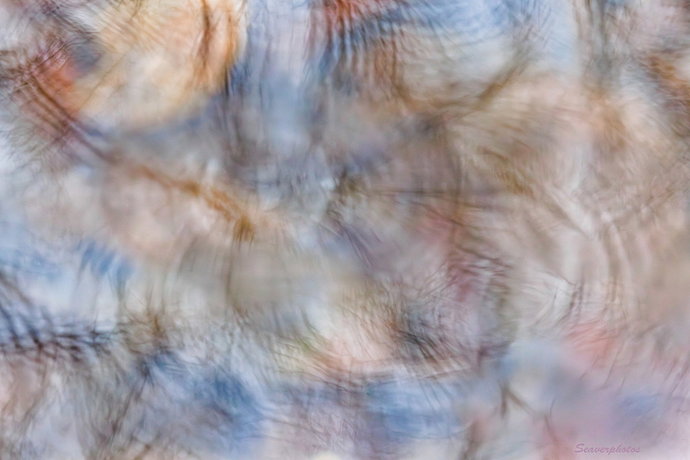 Totally distorted